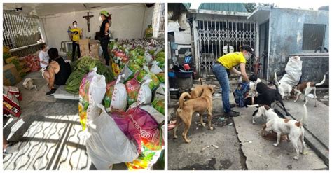 pasay city animal shelter|Pasay Pups.